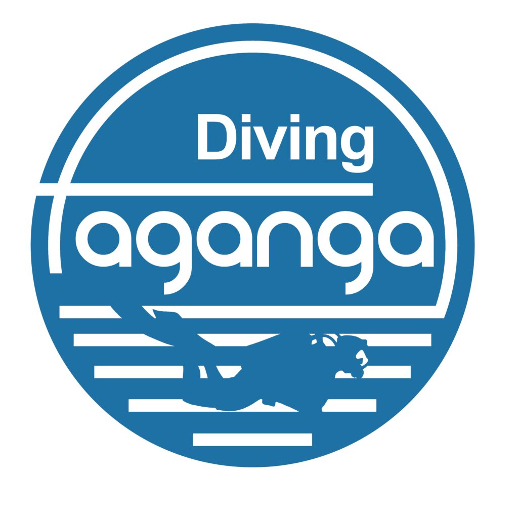 Logo diving taganga