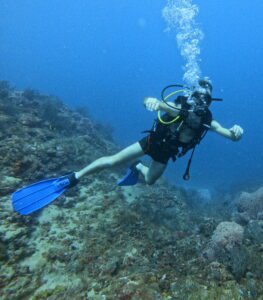 Padi open water course diving taganga