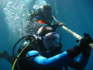 Padi rescue